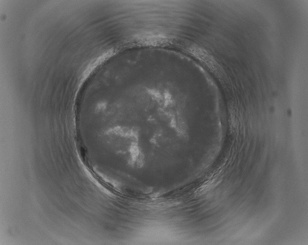 X0000068770630200605191649