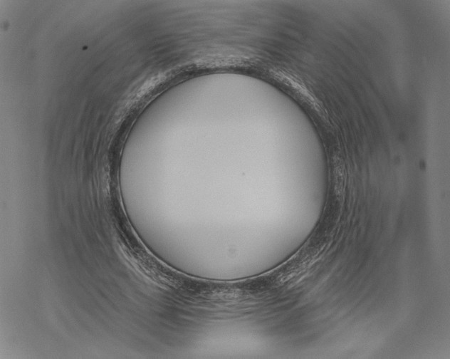 X0000068770631200605191649