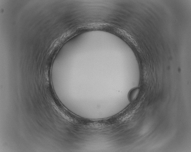 X0000068770633200605191649