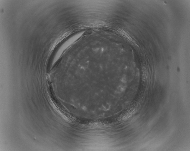 X0000068770634200605191649