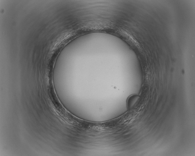 X0000068770635200605191649