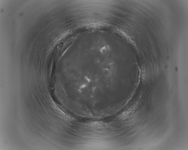 X0000068770637200605191649