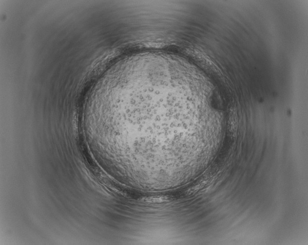 X0000068770639200605191649