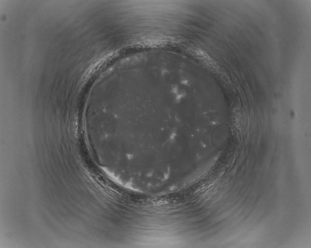 X0000068770640200605191649