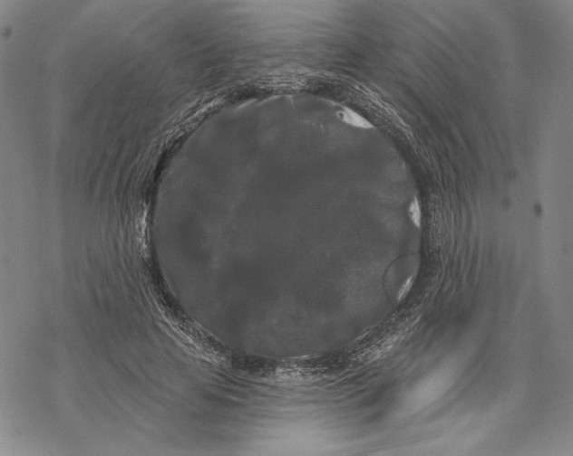 X0000068770641200605191649