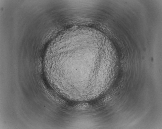 X0000068770642200605191649