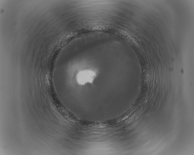 X0000068770643200605191649