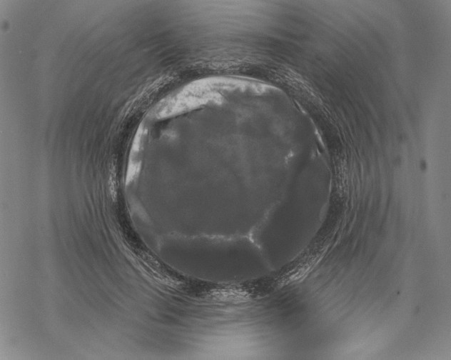 X0000068770644200605191649