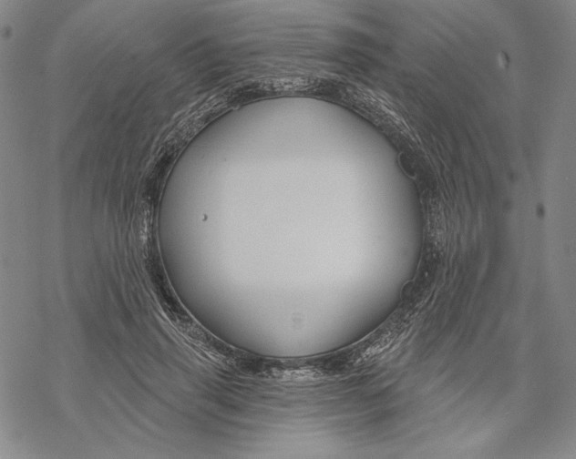 X0000068770645200605191649