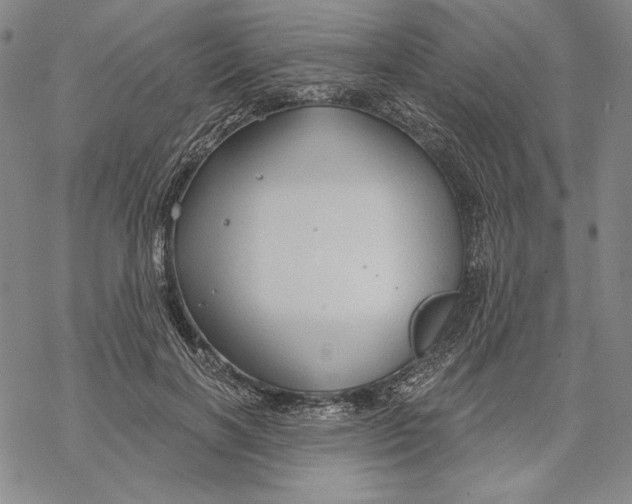 X0000068770646200605191649