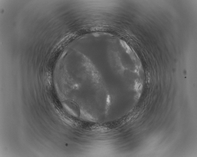 X0000068770648200605191649