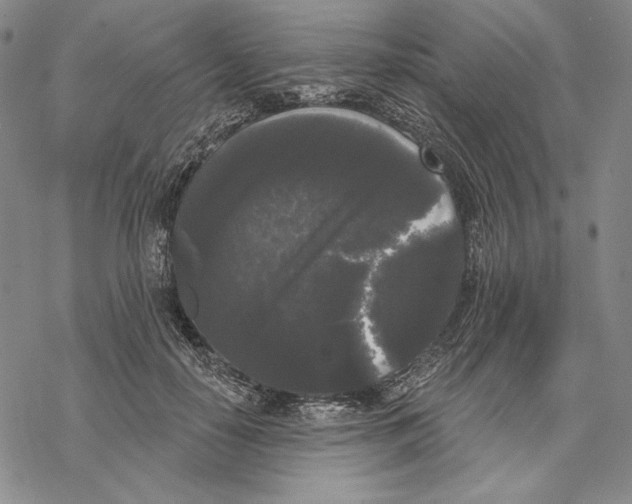 X0000068770650200605191649