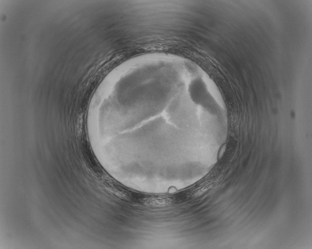 X0000068770652200605191649