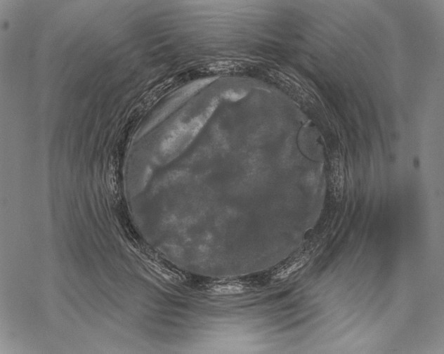 X0000068770653200605191649