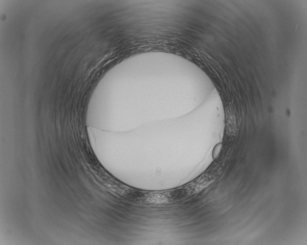 X0000068770656200605191649