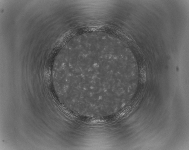 X0000068770657200605191649