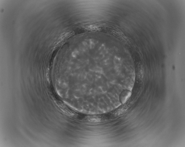 X0000068770658200605191649