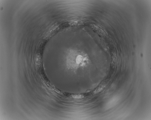 X0000068770659200605191649