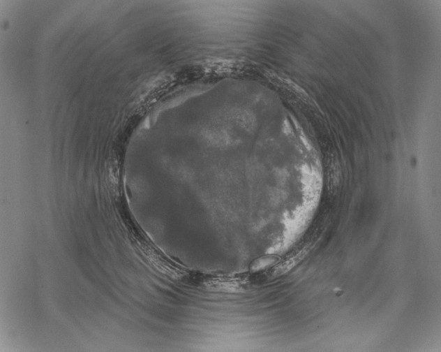 X0000068770661200605191649