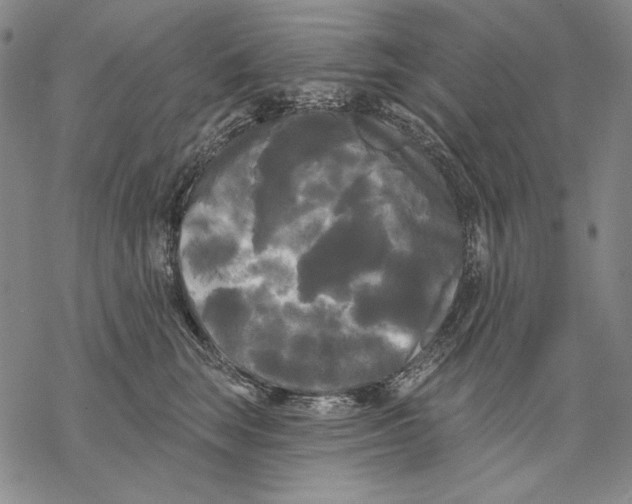 X0000068770663200605191649