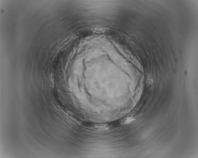 X0000068770666200605191649