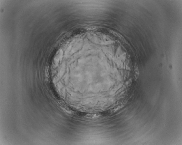 X0000068770667200605191649