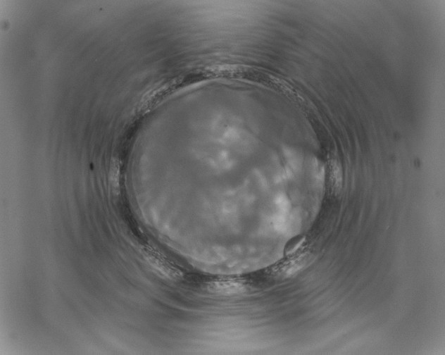 X0000068770668200605191649