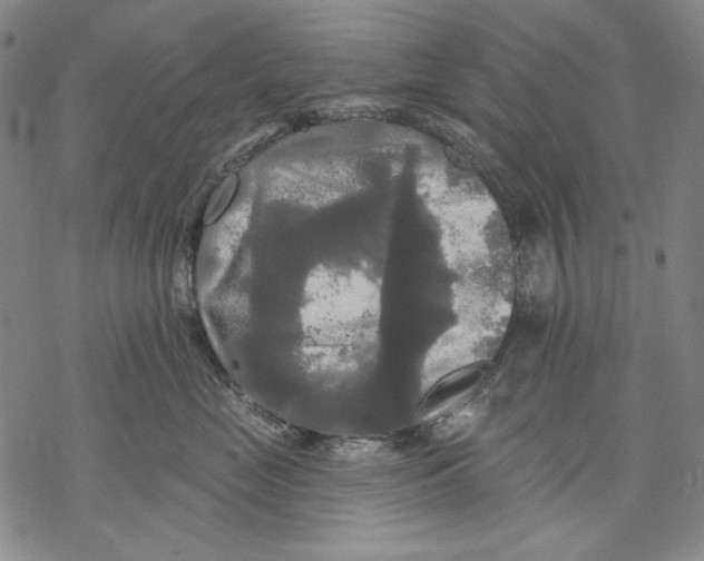 X0000068770669200605191649