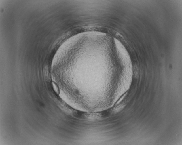 X0000068770670200605191649