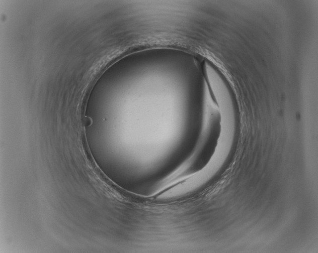 X0000068770673200605191649