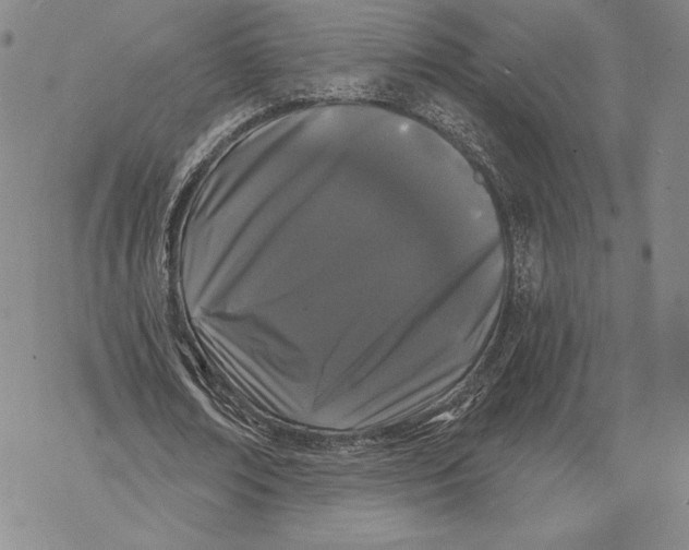 X0000068770674200605191649