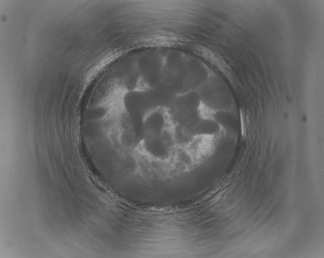 X0000068770675200605191649