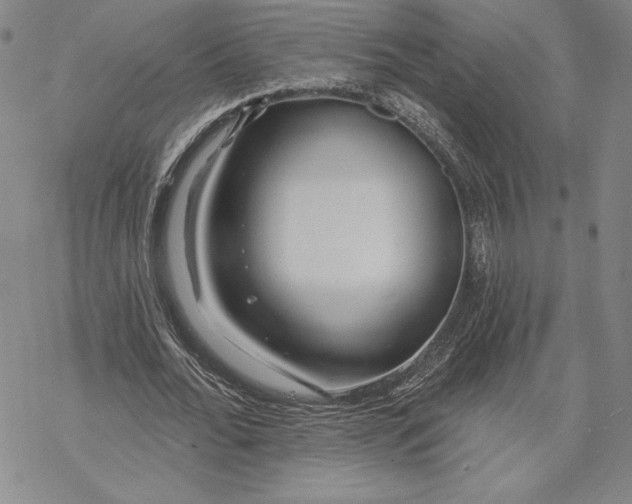 X0000068770676200605191649