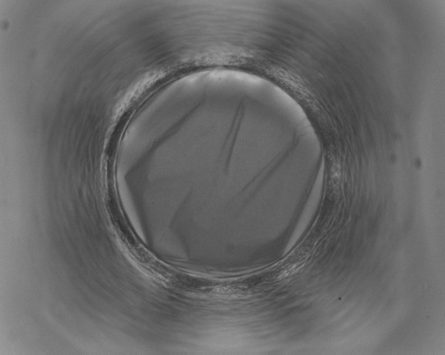 X0000068770678200605191649