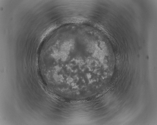 X0000068770679200605191649