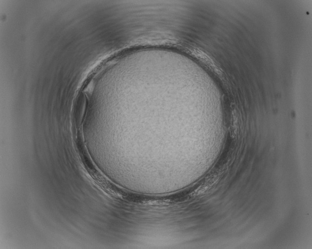 X0000068770680200605191649