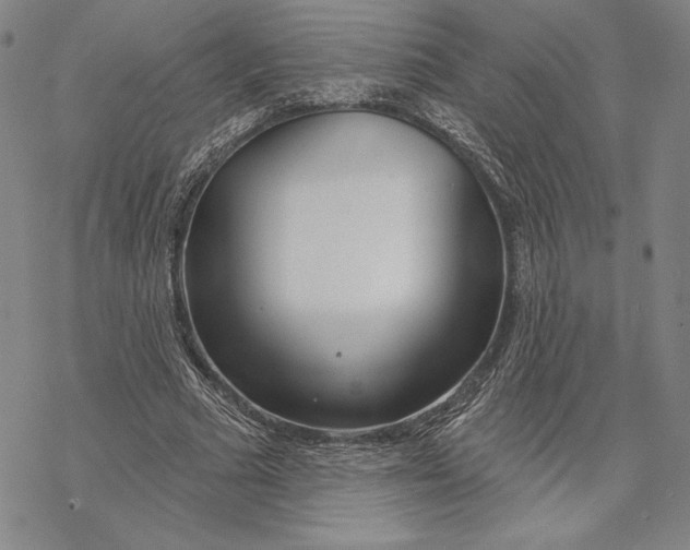 X0000068770681200605191649