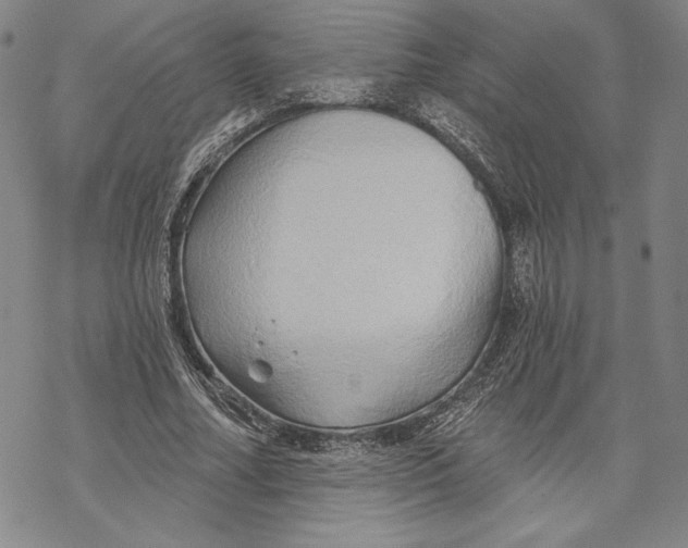 X0000068770682200605191649