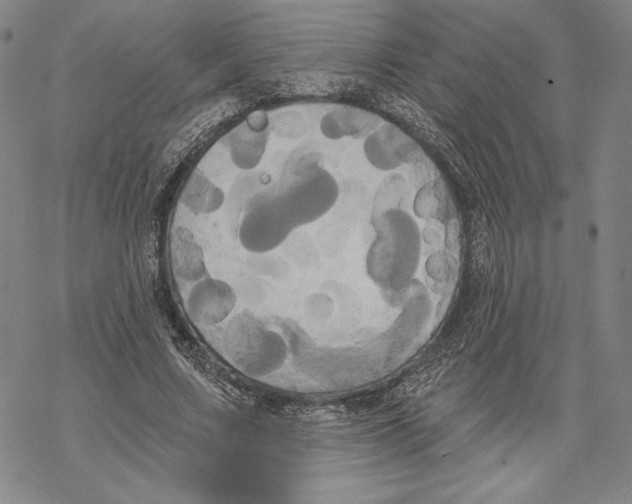 X0000068770683200605191649