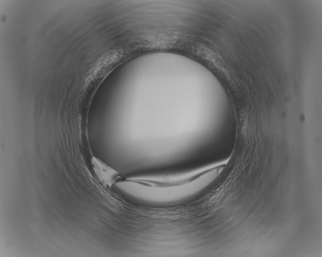 X0000068770685200605191649