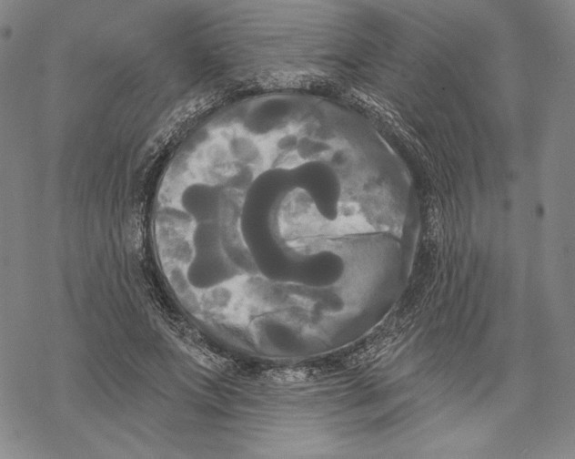 X0000068770687200605191649