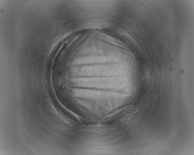 X0000068770688200605191648