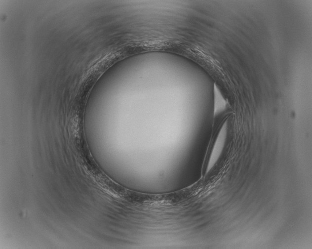 X0000068770689200605191648