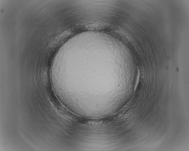 X0000068770690200605191648