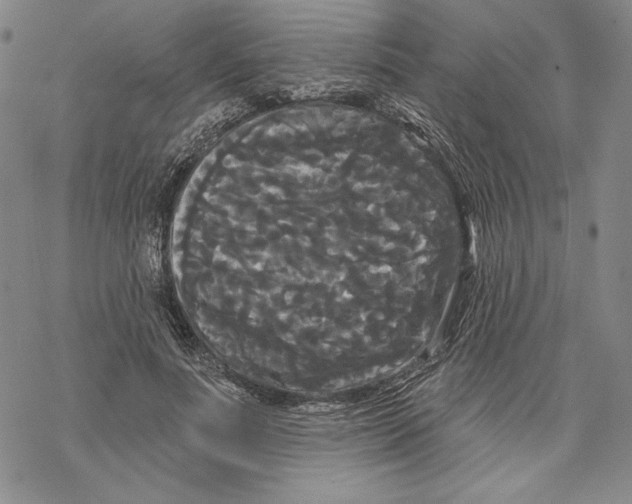 X0000068770691200605191648