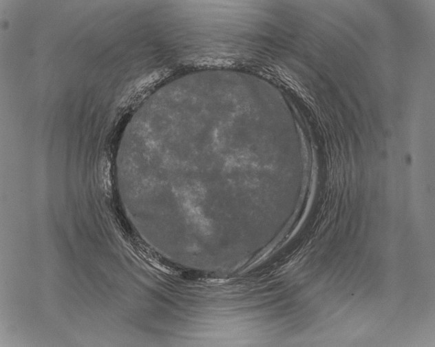 X0000068770692200605191648