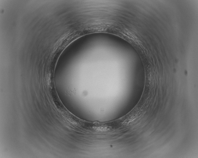 X0000068770693200605191648