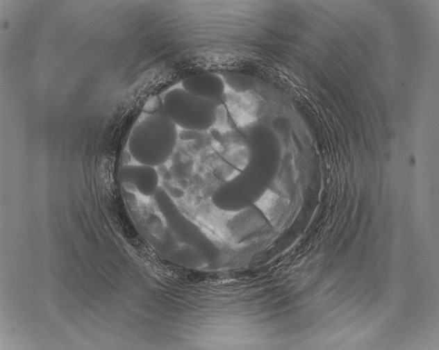 X0000068770695200605191648