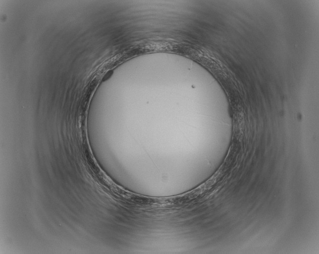 X0000068770696200605191648