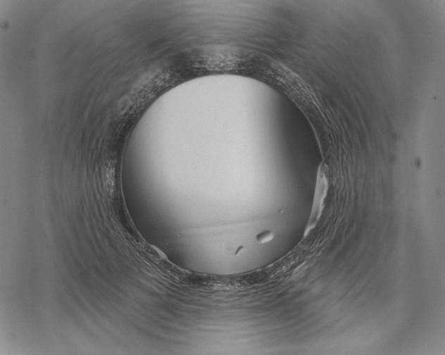 X0000068770697200605191648